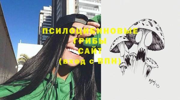 твердый Алексеевка