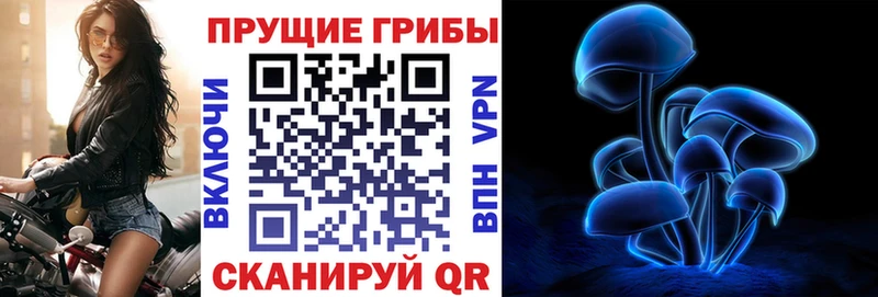 ссылка на мегу рабочий сайт  Дюртюли  Галлюциногенные грибы прущие грибы 